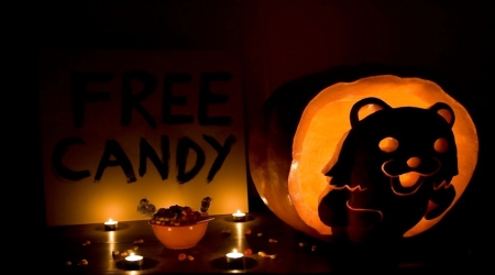 Pedobear free candy