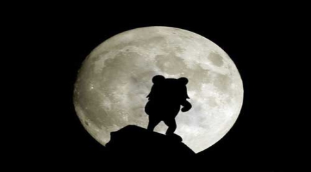 Pedobear moonlight silhouette