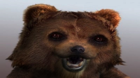 Pedobear real photo