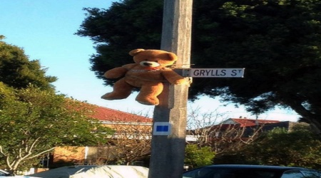 teddy bear hanged