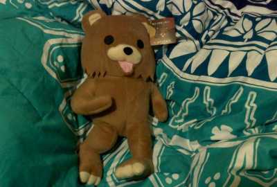 Pedobear teddy in bed