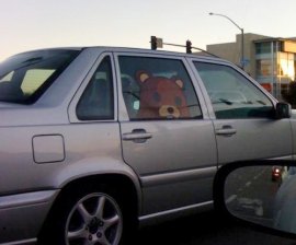 Pedobear inside car