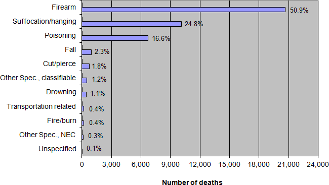 US methods of suicide 2012